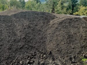 Humus - kompost